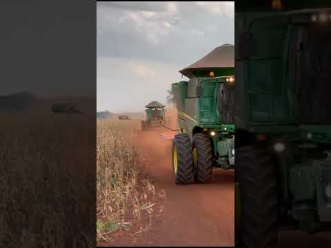 #querência #MATO GROSSO