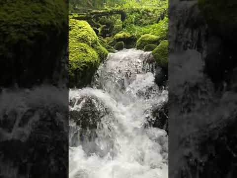 River in Mount Mahabharat, Bethanchowk