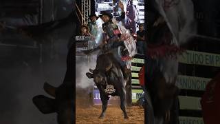 CAMPEÃO DE S.J DE IRACEMA - RONALDO MANOEL JÚNIOR (RODEIO) 2025