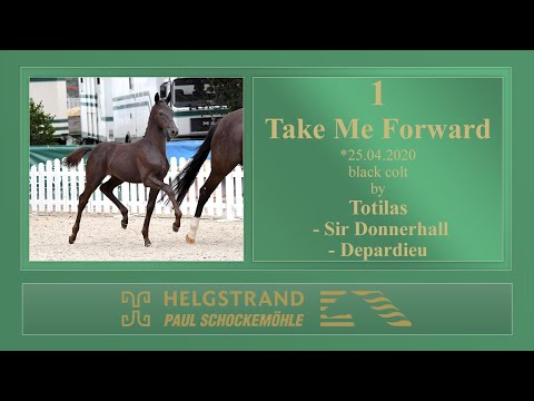 1 Take Me Forward by Totilas - Sir Donnerhall - Depardieu