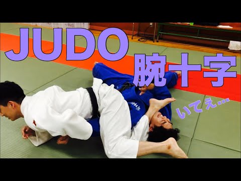 【寝技研究会】下から刈り上げて腕十字をきめてみた