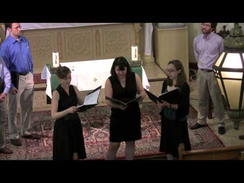 Si tus penas no pruebo