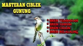 Download lagu MASTERAN VARIASI TEMBAKAN BREN CIGUN || BREN CIGUN DENGAN JEDA SUARA JERNIH mp3 Download lagu MASTERAN VARIASI TEMBAKAN BREN CIGUN || BREN CIGUN DENGAN JEDA SUARA JERNIH mp3