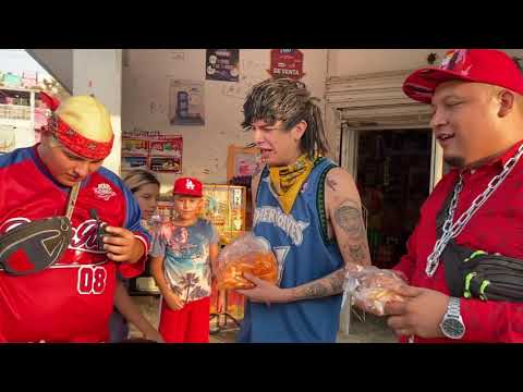 GANG DOGS IN THE GENARO VÁZQUEZ LA GRANJA