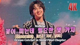 Download lagu 꽃이 피는데 필요한 몇 가지(Blooming just for you)  - NuNew 1st Concert “Dream Catcher” in Seoul Day 1 20260328 mp3