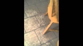 Band Aid 30 Do They Know Its Christmas ( my way )