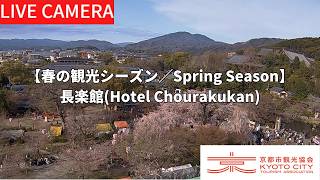 圓山公園 ライブカメラ