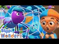 Blippi Wonders Blippi Learns About Spider Webs Blippi Cartoon Moonbug Playground For Kids