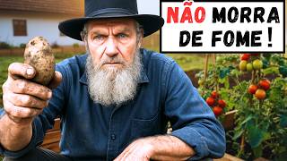 TOP 6 Foods to PLANT at Home and SAVE yourself from HUNGER during the Crisis