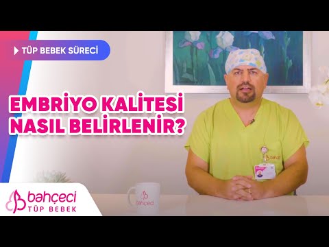 Embriyo Kalitesi Nasıl Belirlenir?