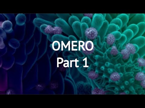 OMERO workshop (part 1)