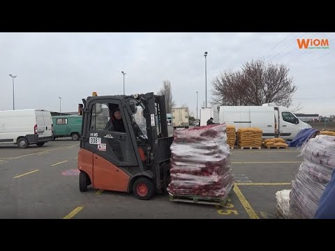 Bronisze: zaskakujące ceny buraków czerwonych i kapusty. Są już pierwsze nowalijki