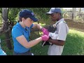Detroit Zoological Society Rehabilitating Vultures In South Africa