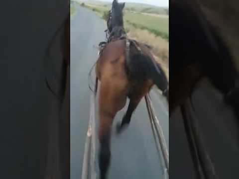 Trapasul de la ivrinezu mare