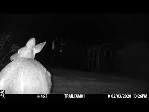 doe close 03FEB2020 1025pm