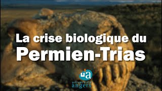 La crise d'extinction de masse du Permien-Trias par les L3 Géosciences d'Angers (2021-2022)