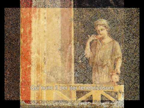 Tyrtarion - Lugete, o Veneres (Catulli Carmen III.)