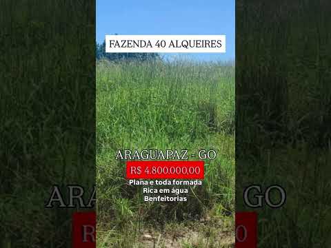 40 Alqueires em Araguapaz Go / whatsapp 62 99373-6407