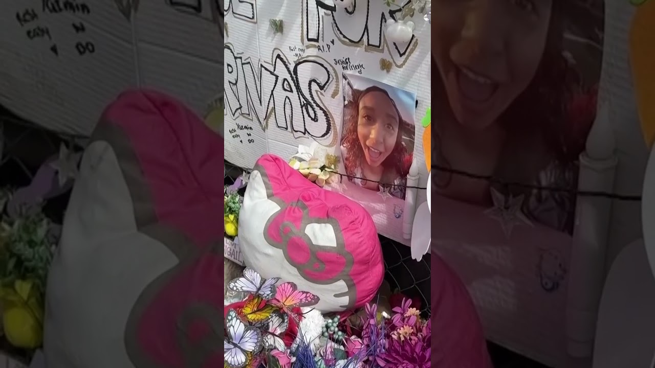 Video: D4vd preliminary hearing opens in LA with deputy testimony on Celeste Rivas Hernandez