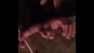 Cover art for WHOSE TOES ARE THOSE