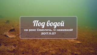 Мотыль наживка что это такое