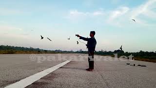 Download lagu NEW PAKET LINTASAN MAUT 2022 - Spesialis Perang Suara (SP, ST, SI, SH) Update terbaru mp3 Download lagu NEW PAKET LINTASAN MAUT 2022 - Spesialis Perang Suara (SP, ST, SI, SH) Update terbaru mp3