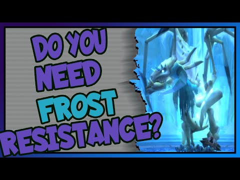 Do you need Frost Resistance for Sapphiron? | Naxxramas | Classic WoW