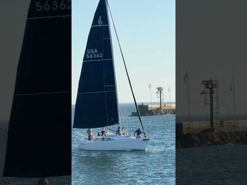 Santa Barbara Harbor | Stearns Wharf | Sailboat  #boating #sailing #harbor #marina #ocean #boat