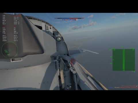 MiG-21 J out feat. Beans