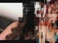 Missy Eliott Feat Nelly Furtado - Get Ur Freak On ...