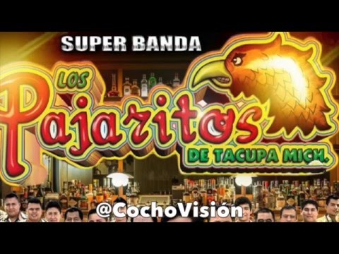 El Cocho Y El Guache | Los Pajaritos De Tacupa Michoacan