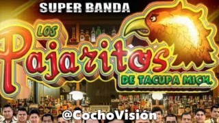 El Cocho Y El Guache | Los Pajaritos De Tacupa Michoacan