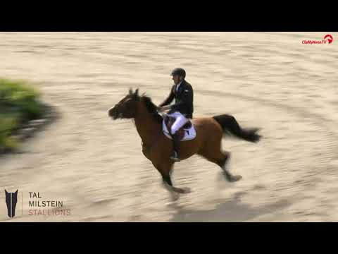 DIESEL GP DU BOIS MADAME 4* Ommen 150 7th