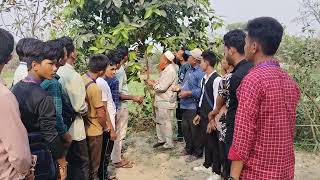 আইজিএ ছাদ কৃষি ও বাড়ির আঙ্গিনায় সবজি চাষ বিষয়ক প্রশিক্ষণ। কিভাবে গাছের ডালে কলম দেয়া হয়। প্রশিক্ষকঃ মোঃ আজিজুল হক প্রাক্তন সহকারী কৃষি সম্প্রসারণ কর্মকর্তা।
