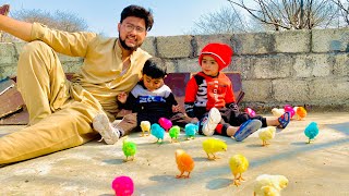 Colour Full Baby Chicks  ||🐥😍🐤 Itny Sare Colourfully Chicks | colourful Chicks growth day by day
