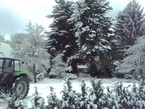 baum fällen..oh oh..geht das gut ???