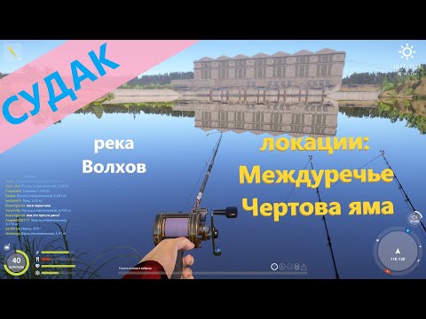 Фото Русская рыбалка 4 - река Волхов - Судак с островка