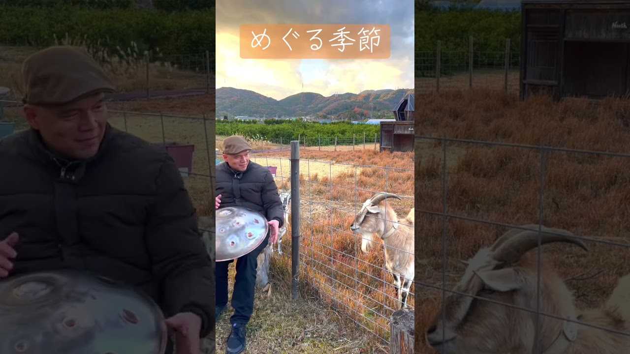 ハンドパン聴いてく？めぐる季節