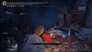 後追い【EldenRing】