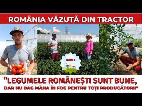, title : '"Legumele românești sunt bune, dar nu bag mâna în foc pentru toți producătorii"'