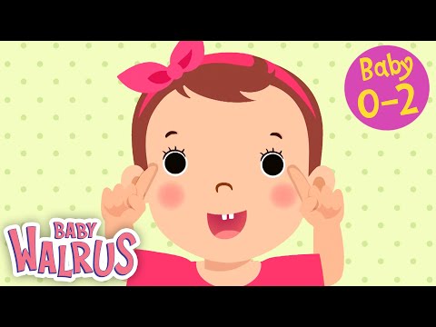 Meine ersten Worte #7 | Körperteile | Lernserien für Babys 0-2