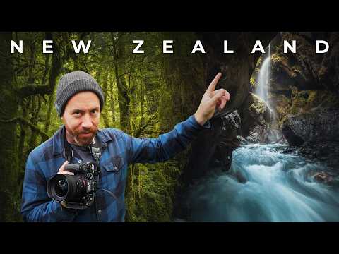 This Place Feels Unreal | New Zealand Rainforest Photography