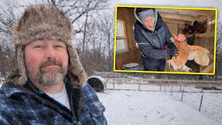 We Found One of Our Animals Barely Alive in the Snowstorm
