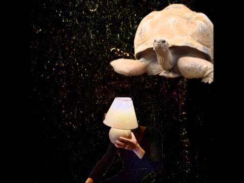 Psymun - turtle tape