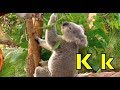 Merry Go Round Of ANIMALS A Z PHONICS Babies Preschool