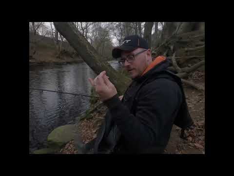 Grayling and trout fishing on the River don.