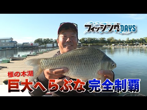 【フィッシングDAYS】#76　椎の木湖　巨大へらぶな完全制覇