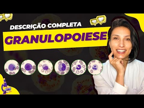 Leucocitos Granulopoiese - Descrição dos Granulócitos completa #biologia #biomedicina
