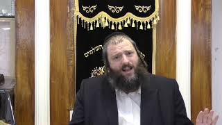 ציץ לכהן גדול, ציצית לכל אדם - ביאור דברי הזוהר הקדוש עם הרב דוד משה בלוי