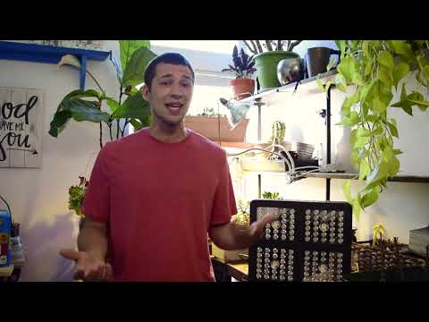 videoby customer WCWG